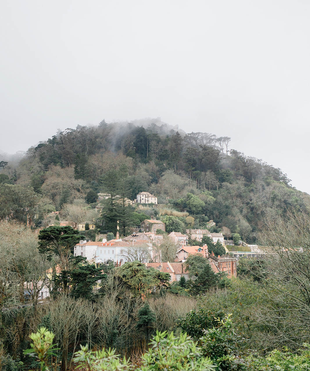 Camélia Gardens